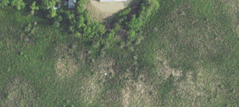 Dent, MN 56528