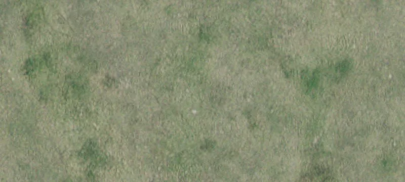 Appleton, MN 56208