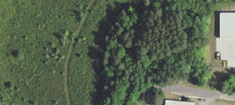 Longville, MN 56655