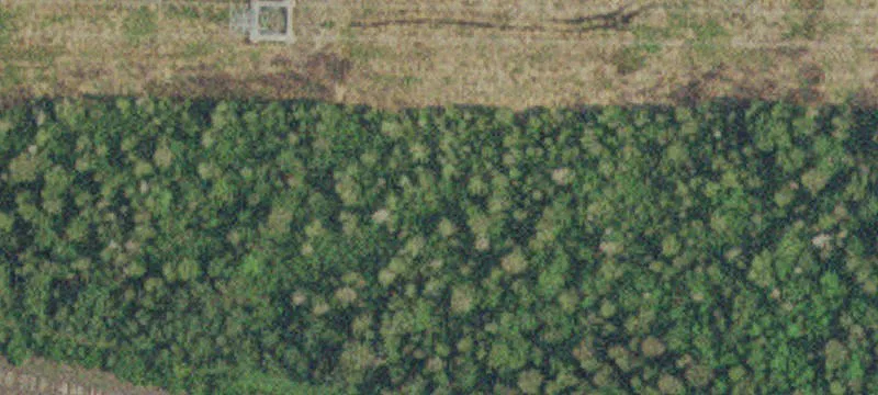 Schroeder, MN 55613