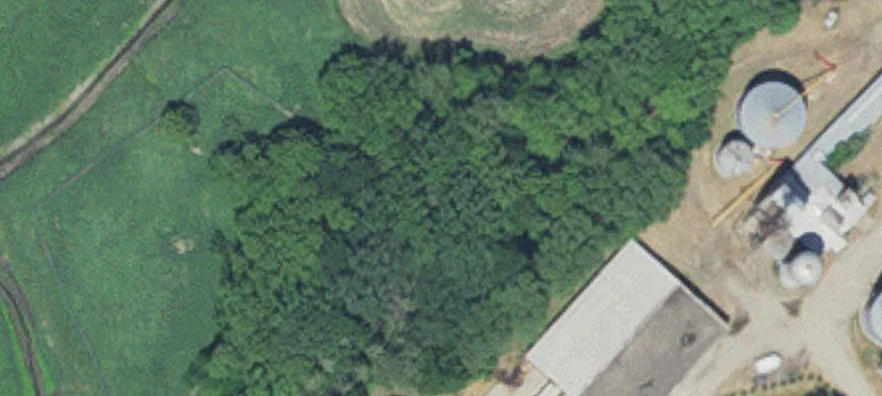 Webster, MN 55088