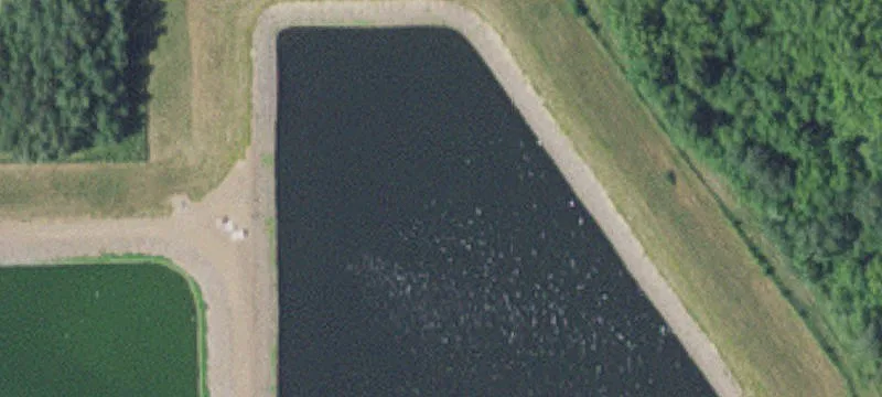 Foreston, MN 56330