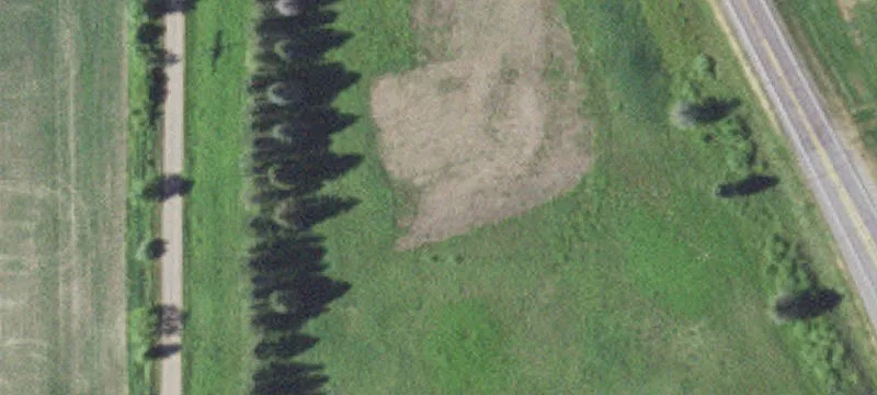 Foley, MN 56329