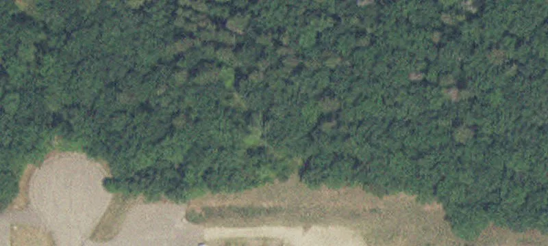 Pillager, MN 56473