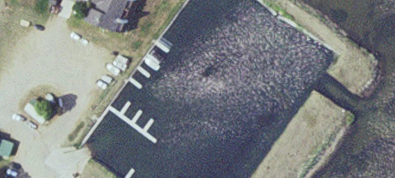 Garrison, MN 56450