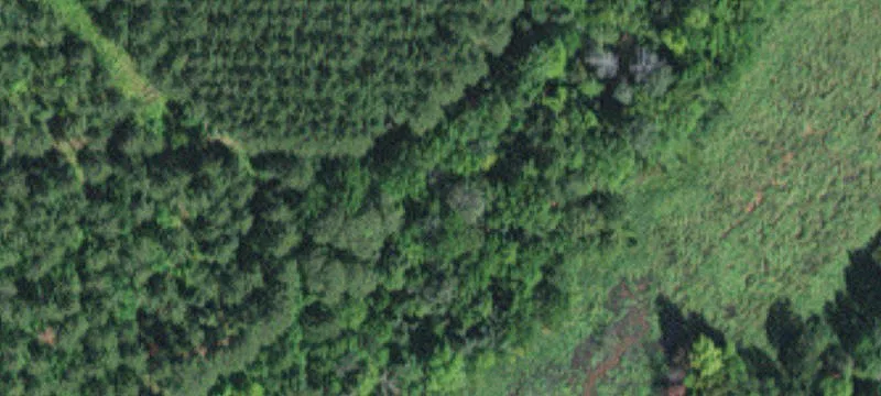 Sandstone, MN 55072