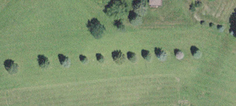 Lewiston, MN 55952
