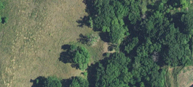 Montevideo, MN 56265