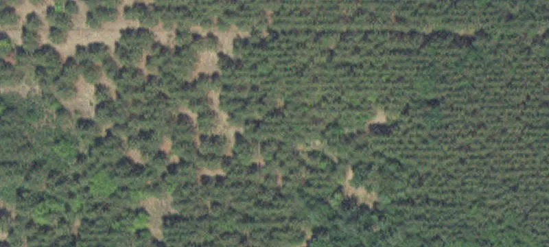 Cass Lake, MN 56633