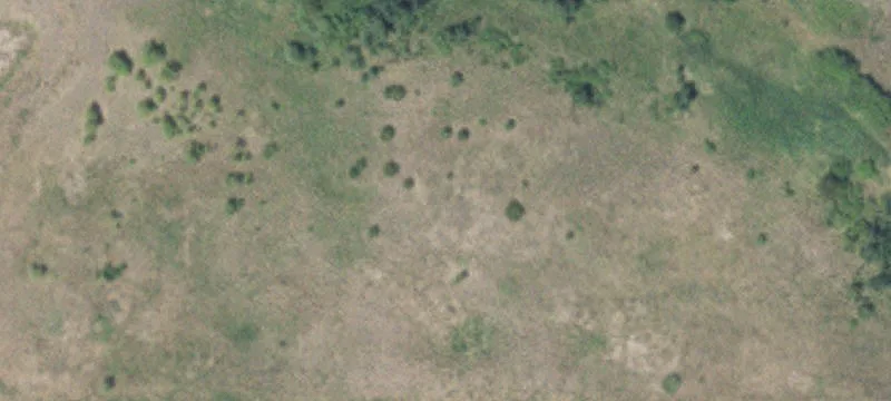 Anoka, MN 55303