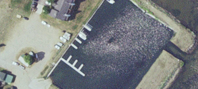 Garrison, MN 56450