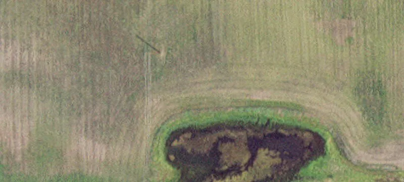 Westbrook, MN 56183