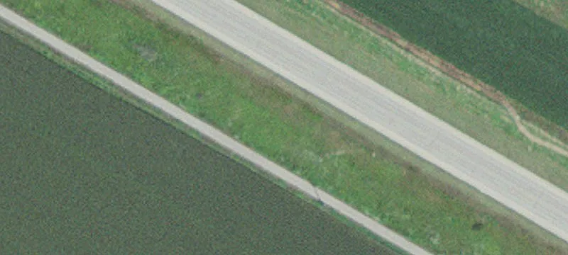 Adams, MN 55909