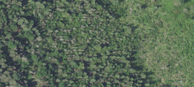 Finland, MN 55603