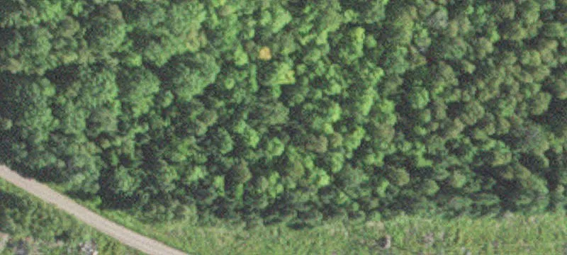 152 Hultberg Rd