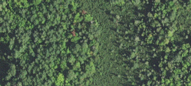 Cloquet, MN 55720
