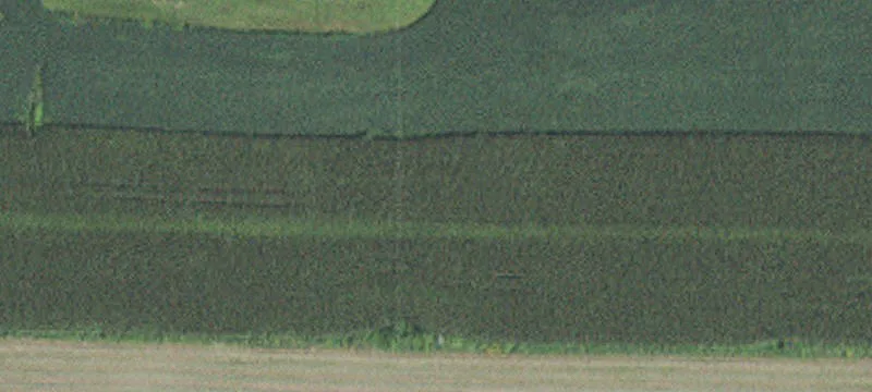 Altura, MN 55910