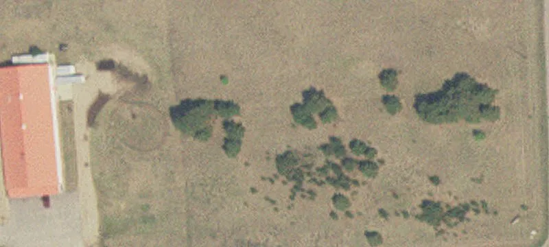 Pillager, MN 56473
