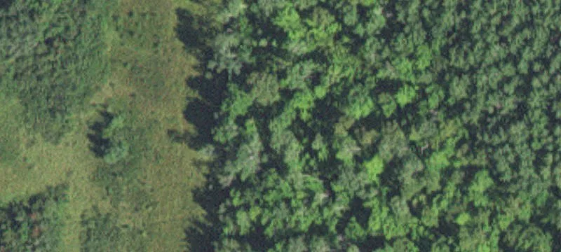 Cloquet, MN 55720
