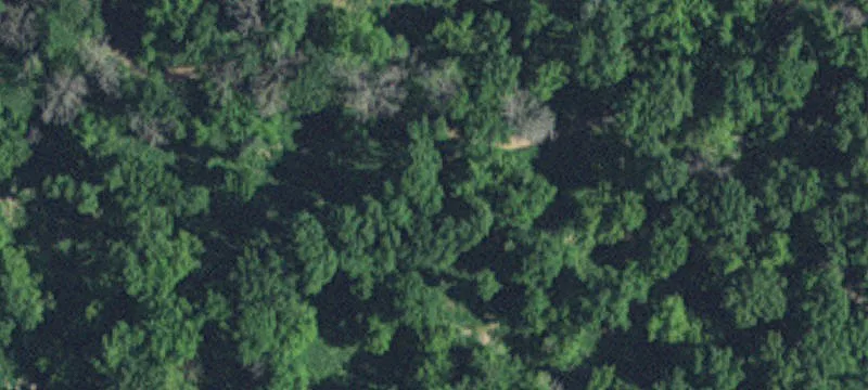 Montevideo, MN 56265