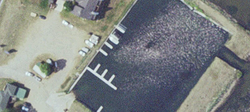 Garrison, MN 56450