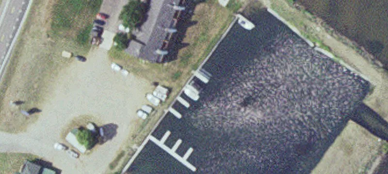 Garrison, MN 56450