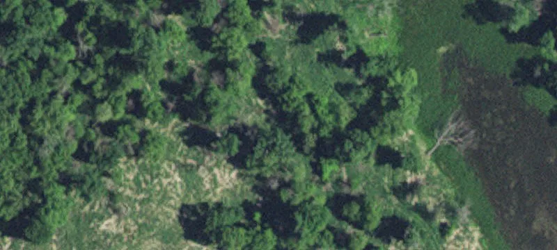 Montevideo, MN 56265