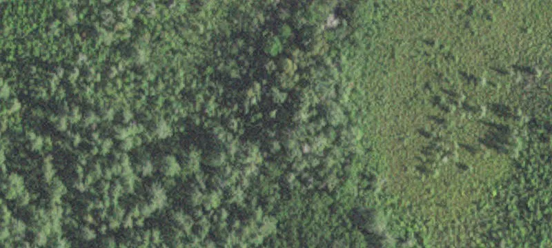 Cloquet, MN 55720