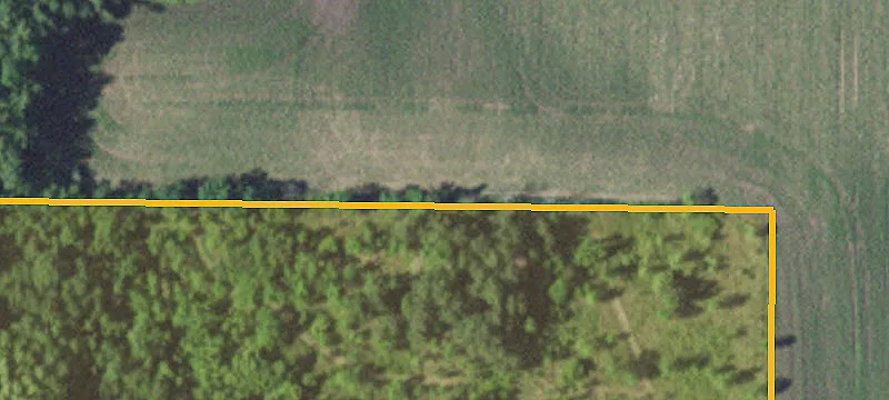 Foley, MN 56329