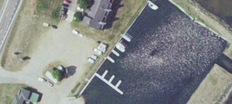 Garrison, MN 56450