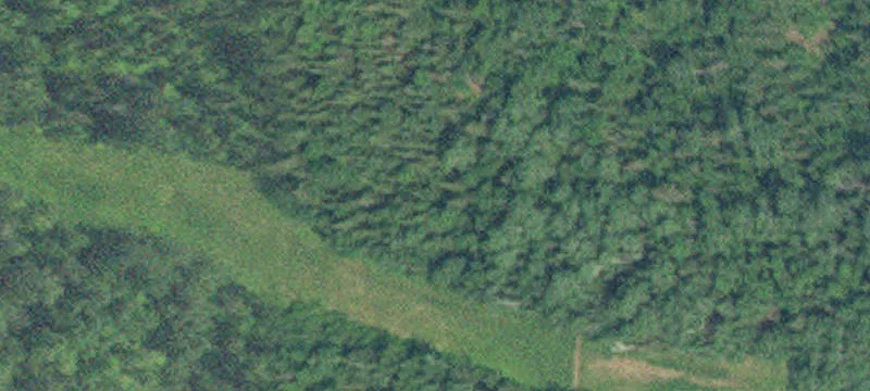 Caribou Trl