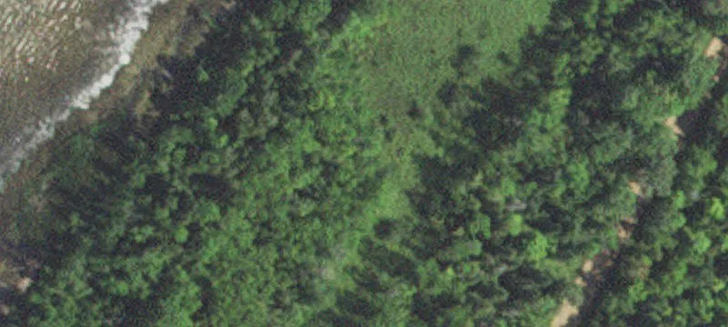 Bena, MN 56626