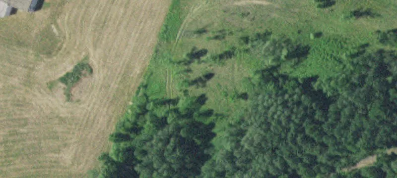 Albany, MN 56307