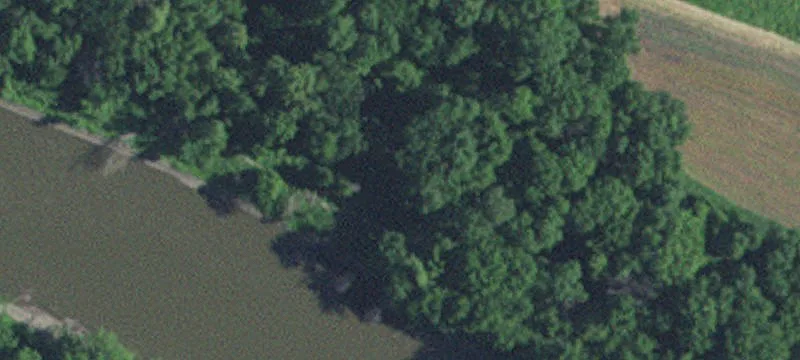Montevideo, MN 56265