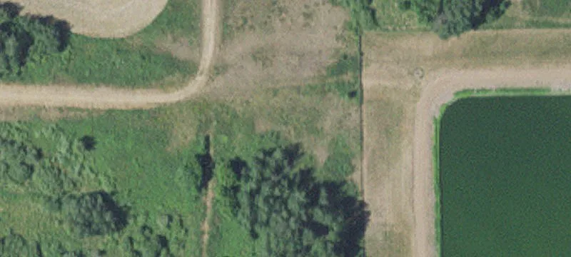 Foreston, MN 56330