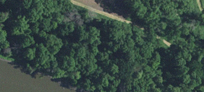 Montevideo, MN 56265