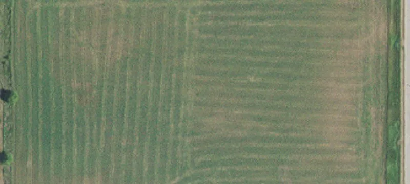 Cannon Falls, MN 55009