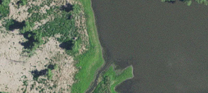 Montevideo, MN 56265