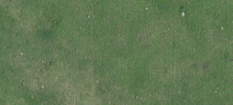 Appleton, MN 56208