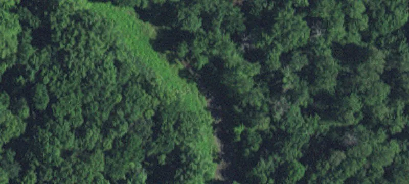Watson, MN 56295