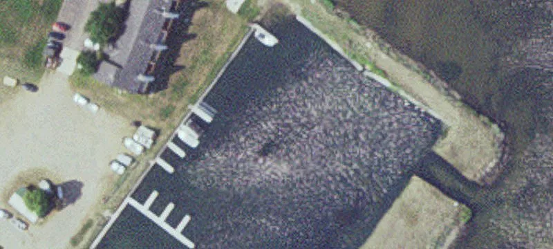 Garrison, MN 56450