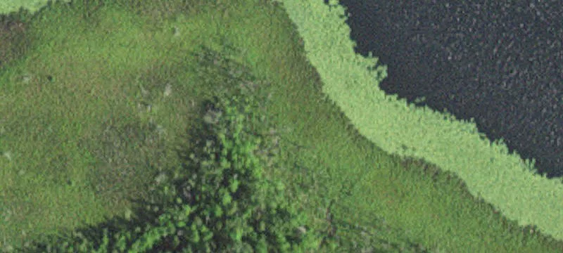 Longville, MN 56655