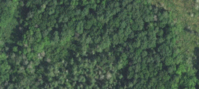 Pequot Lakes, MN 56472