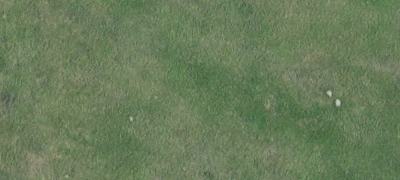 Appleton, MN 56208