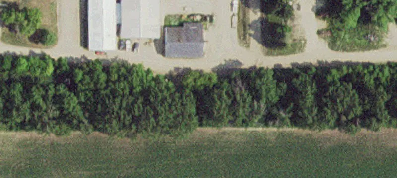 Dalton, MN 56324