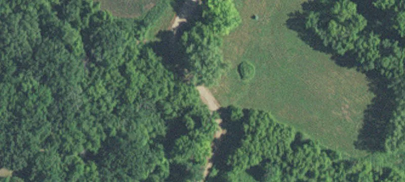 Welch, MN 55089