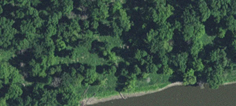 Montevideo, MN 56265