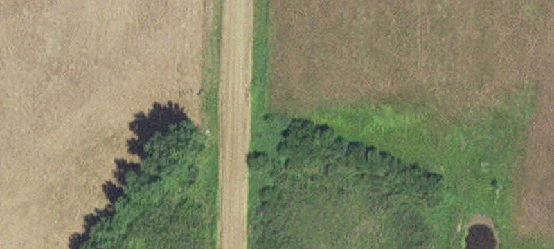 Backus, MN 56435