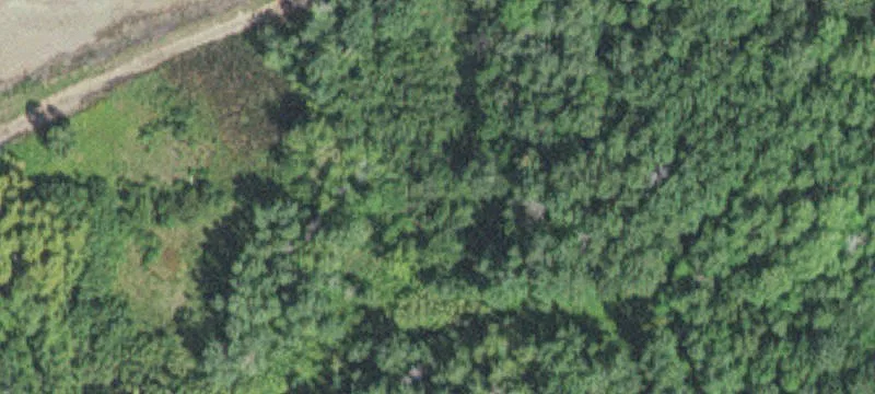 Wrenshall, MN 55797