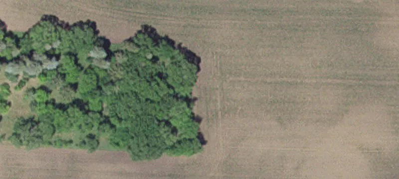 Saint Joseph, MN 56374